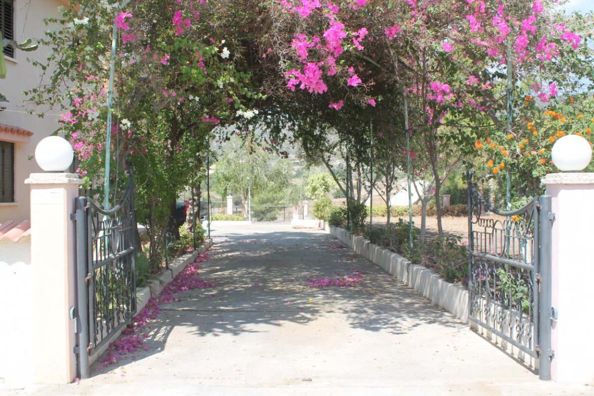 5 bedrooms Villa in Limassol, Cyprus No. 38344