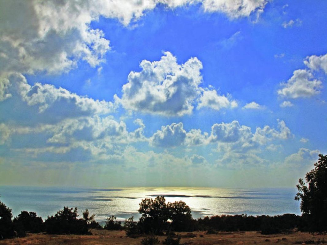 3 rooms Villa in Paphos, Cyprus No. 37998