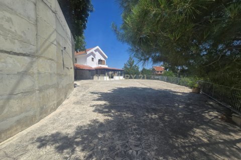 4 chambres Villa à Agios Amvrosios, Limassol,  No. 57162 14