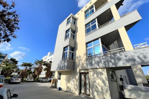 36 rooms Apartment in Larnaca, Larnaka,  No. 38999 3