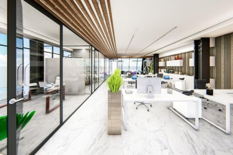 219m2 Commercial property in Larnaca, Larnaka, No. 39001 10