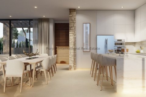 3 bedrooms Villa in Pegeia, Paphos, Cyprus No. 37683 27