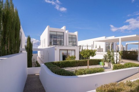 5 bedrooms Villa in Pegeia, Paphos, Cyprus No. 37684 4