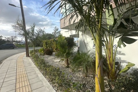 2 chambres Appartement à Livadia, Nicosia,  No. 39972 20