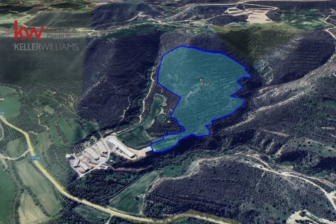 93647m2 Land in Agios Theodoros, Larnaka, No. 40474 5