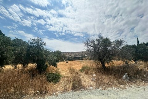 Land in Agios Tychonas, Limassol,  No. 48395 8
