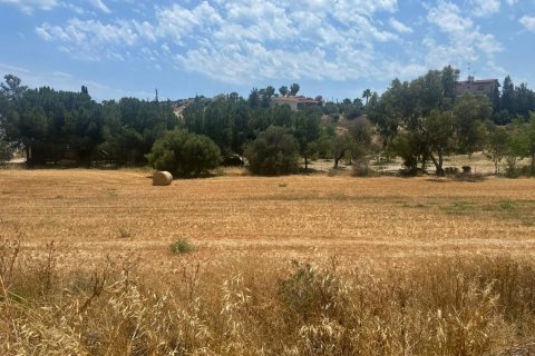 Land in Agios Tychonas, Limassol, No. 48395