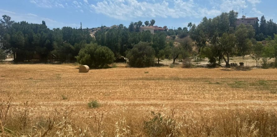 Land in Agios Tychonas, Limassol,  No. 48395