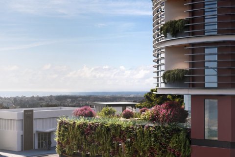 364m2 Office in Paphos, No. 48396 3