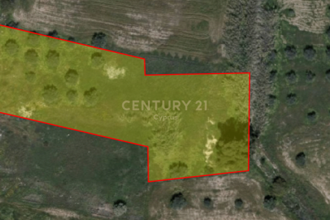 Land in Oroklini, Larnaka,  No. 53973