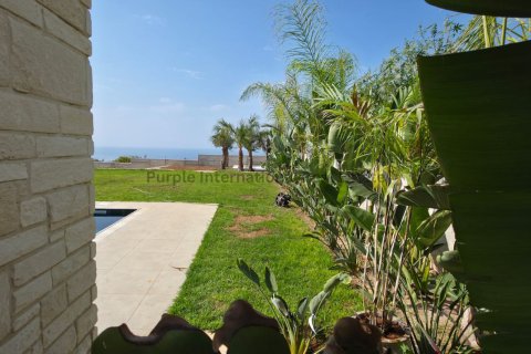 Вилла с 4 спальнями в Тала, Пафос,  № 39255 23