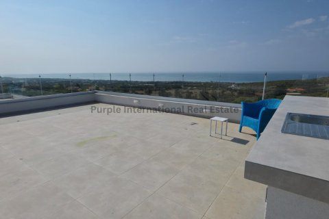 Вилла с 4 спальнями в Тала, Пафос,  № 39255 28