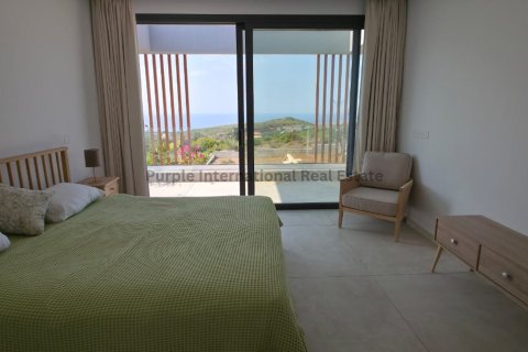 Вилла с 4 спальнями в Тала, Пафос,  № 39255 17