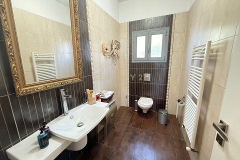 Вилла с 6 спальнями в Кония, Пафос,  № 54112 11