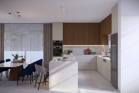 3 bedrooms Townhouse in Geroskípou, Paphos, No. 42063 8