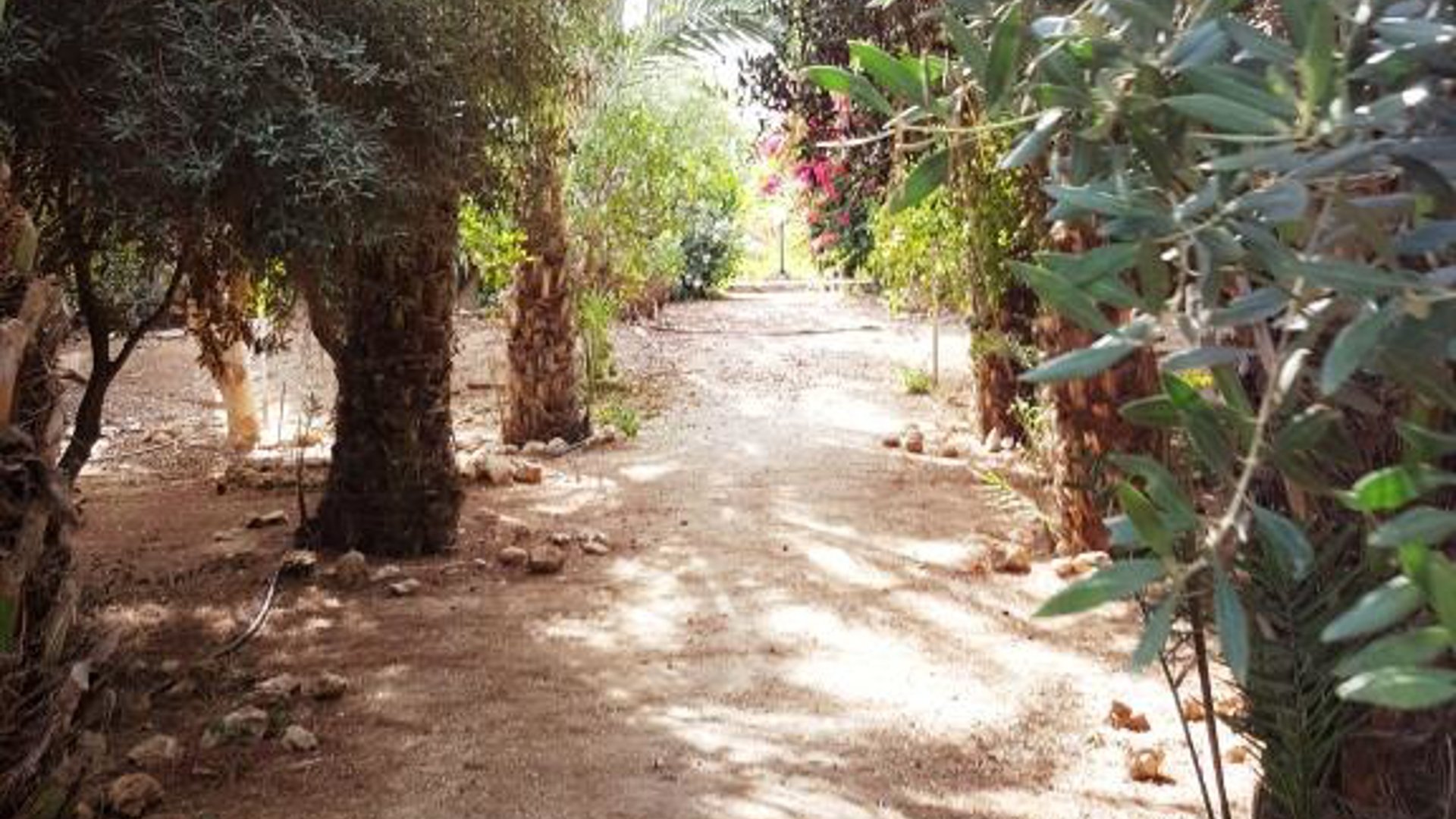 5 bedrooms Villa in Pernera, Ammochostos, Cyprus No. 25683
