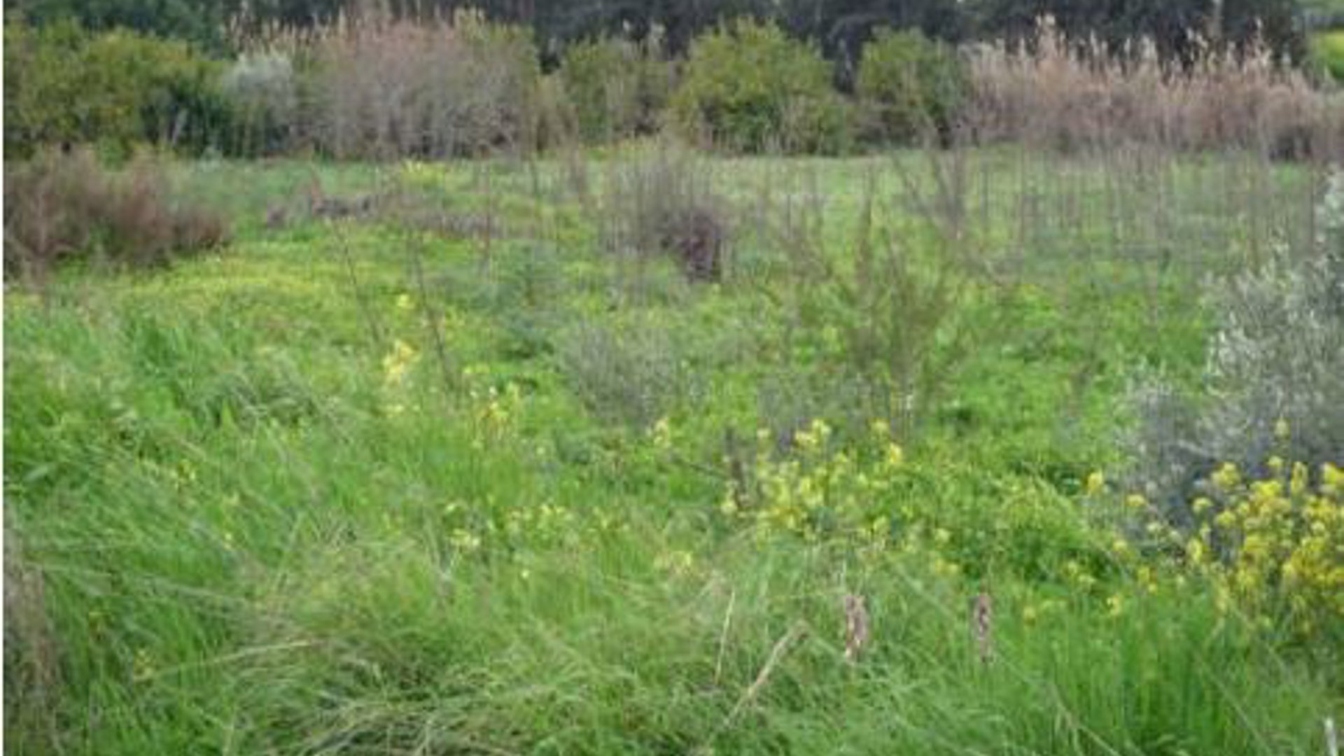 1673m2 Terrain à Pissouri, Limassol, Chypre No. 25687