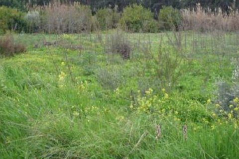 1673m2 Terrain à Pissouri, Limassol, Chypre No. 25687