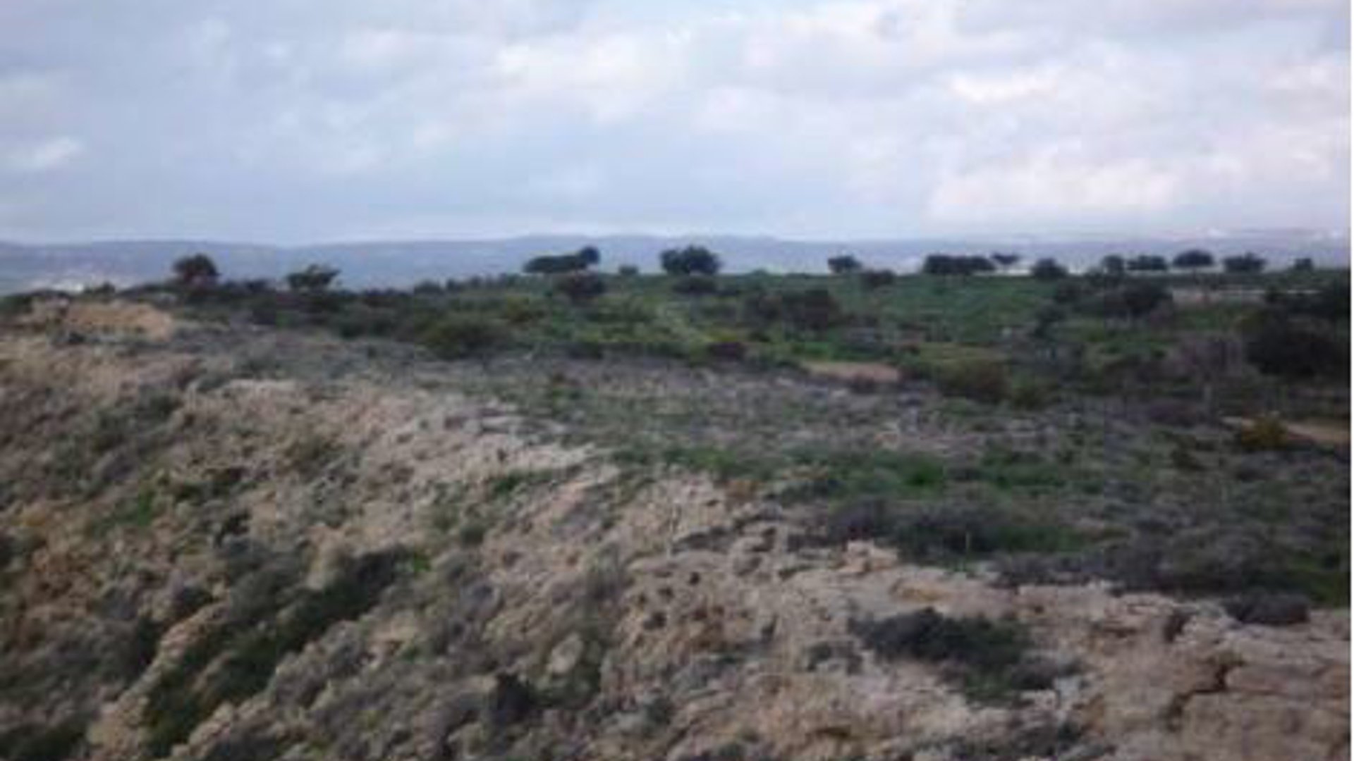 6689m2 Terrain à Pissouri, Limassol, Chypre No. 25686