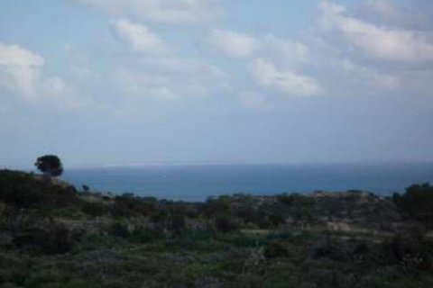 6689m2 Terrain à Pissouri, Limassol, Chypre No. 25686