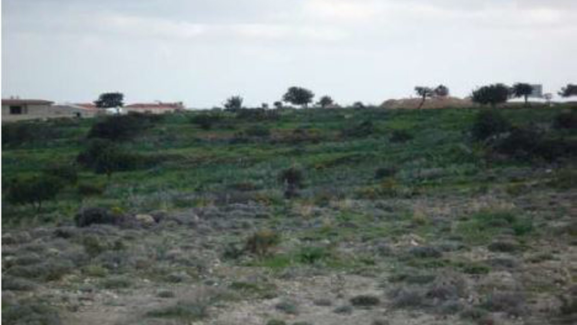 6689m2 Terrain à Pissouri, Limassol, Chypre No. 25686