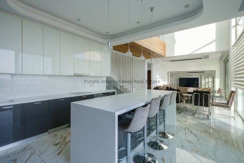 8 bedrooms Villa in Pegeia, Paphos,  No. 9625 3