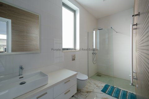 8 bedrooms Villa in Pegeia, Paphos,  No. 9625 13