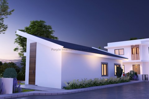 Вилла с 3 спальнями в Френарос, Аммохостос, № 51152 15