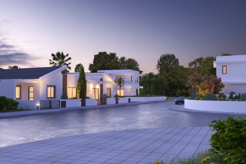 Вилла с 3 спальнями в Френарос, Аммохостос, № 51152 16