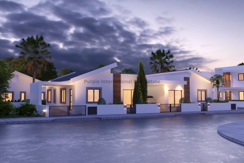 Вилла с 3 спальнями в Френарос, Аммохостос, № 51152 5