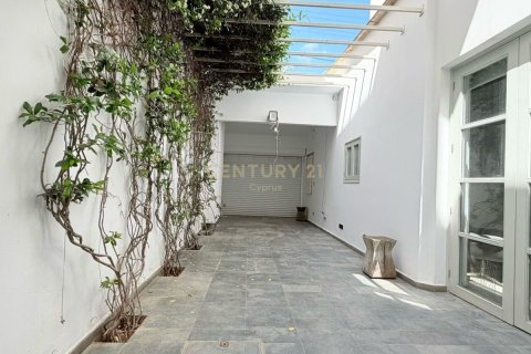5 dormitorios Villa en Limassol,  No. 55182 20