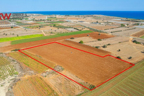 14716m2 Land in Alaminos, Larnaka, No. 39741 2