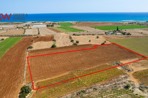 14716m2 Land in Alaminos, Larnaka, No. 39741 4