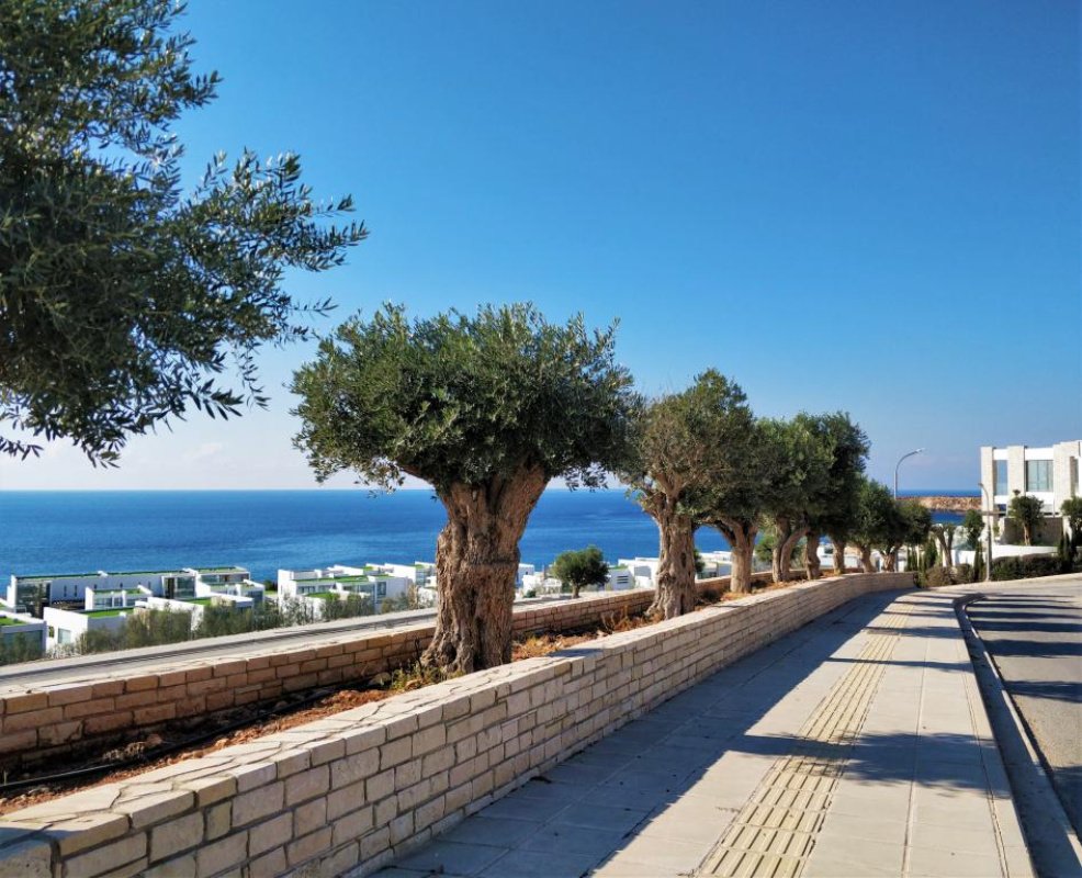 Studio Villa à Paphos, Chypre No. 38670