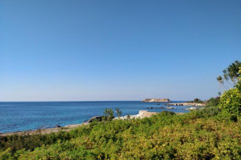 Вилла студия в Пафос, № 38670 14