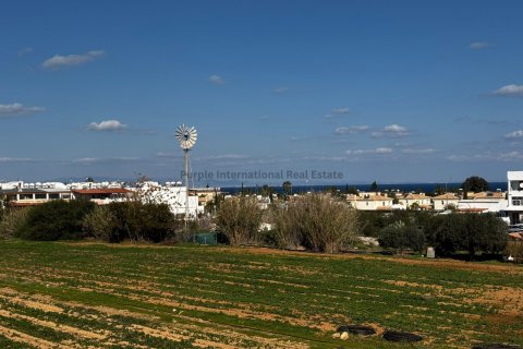 Квартира с 2 спальнями в Паралимни, Аммохостос, № 51217 10