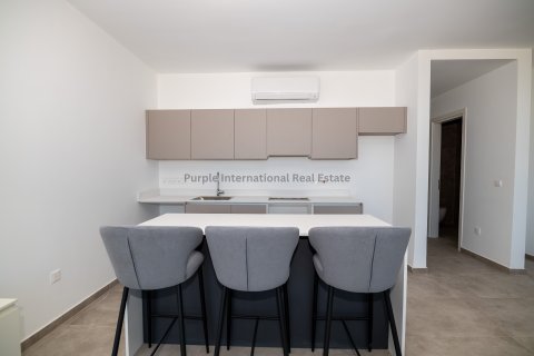 Квартира с 2 спальнями в Паралимни, Аммохостос, № 51217 8