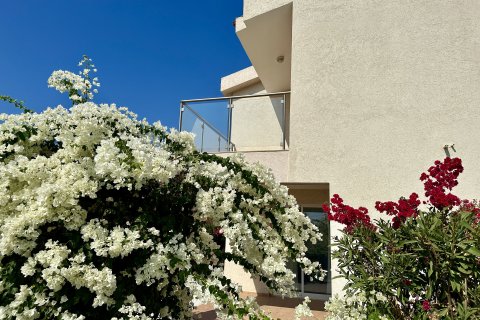 3 bedrooms Villa in Pegeia, Paphos,  No. 49557 7