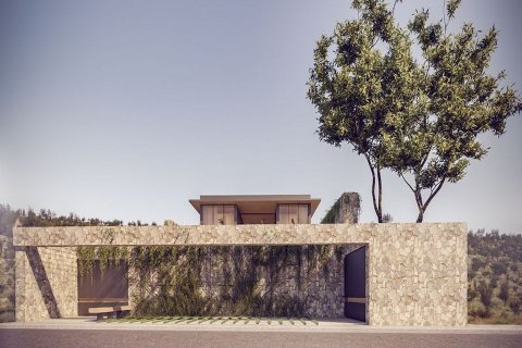 6 bedrooms Villa in Ayia Napa, Ammochostos,  No. 45581 2