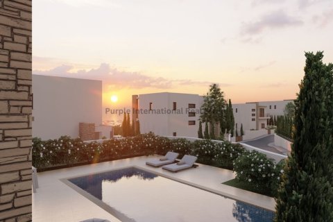 Вилла с 5 спальнями в Пейя, Пафос,  № 39163 24