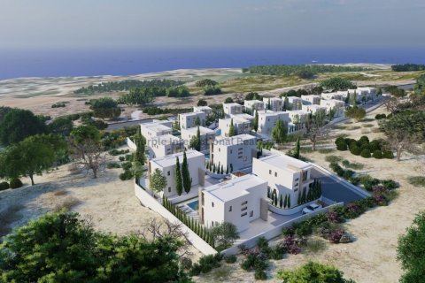 Вилла с 5 спальнями в Пейя, Пафос,  № 39163 19