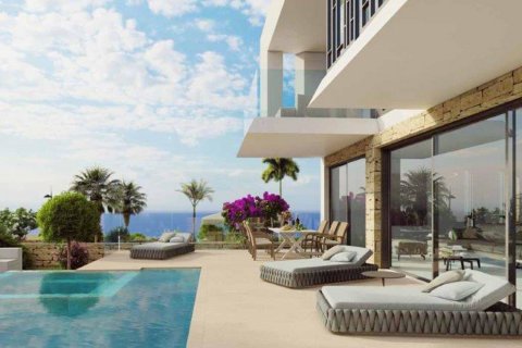 5 chambres Villa à Pegeia, Paphos, Chypre No. 28334