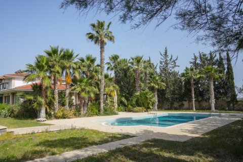 5 bedrooms Villa in Alethriko, Larnaka, No. 49242 26