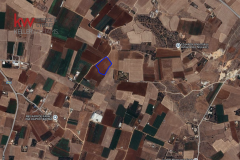 15385m2 Terrain à Avgorou, Ammochostos, No. 56854