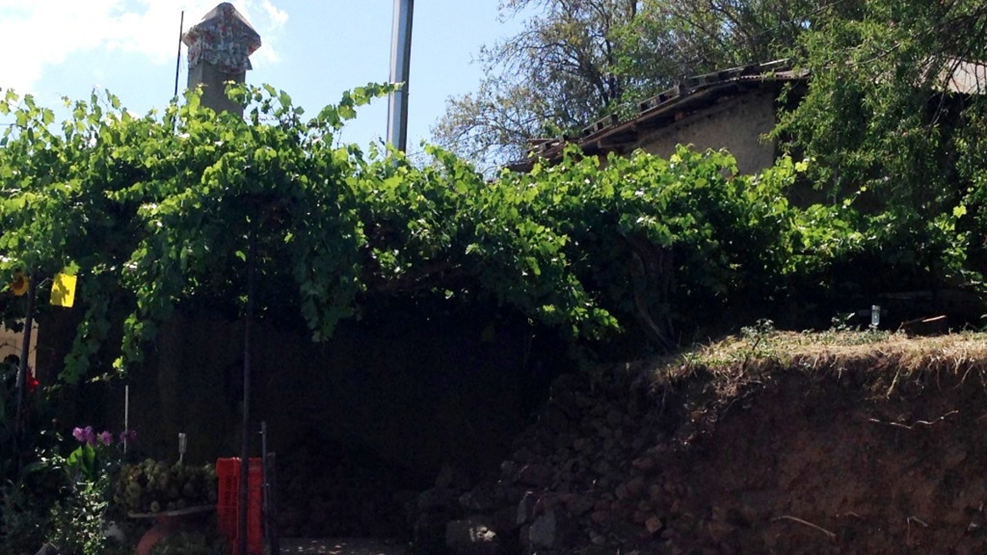 2 dormitorios Bungalow en Prodromos, Nicosia, Chipre No. 25596