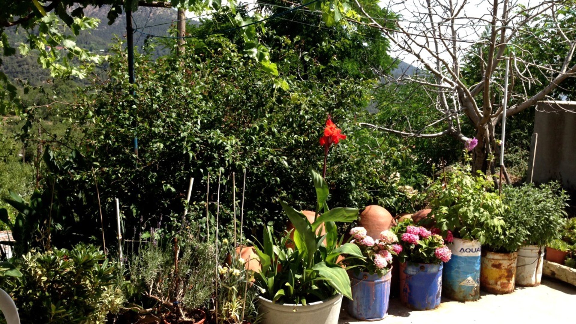 2 dormitorios Bungalow en Prodromos, Nicosia, Chipre No. 25596