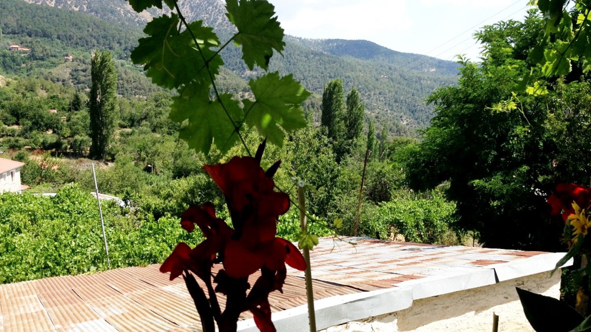 2 dormitorios Bungalow en Prodromos, Nicosia, Chipre No. 25596