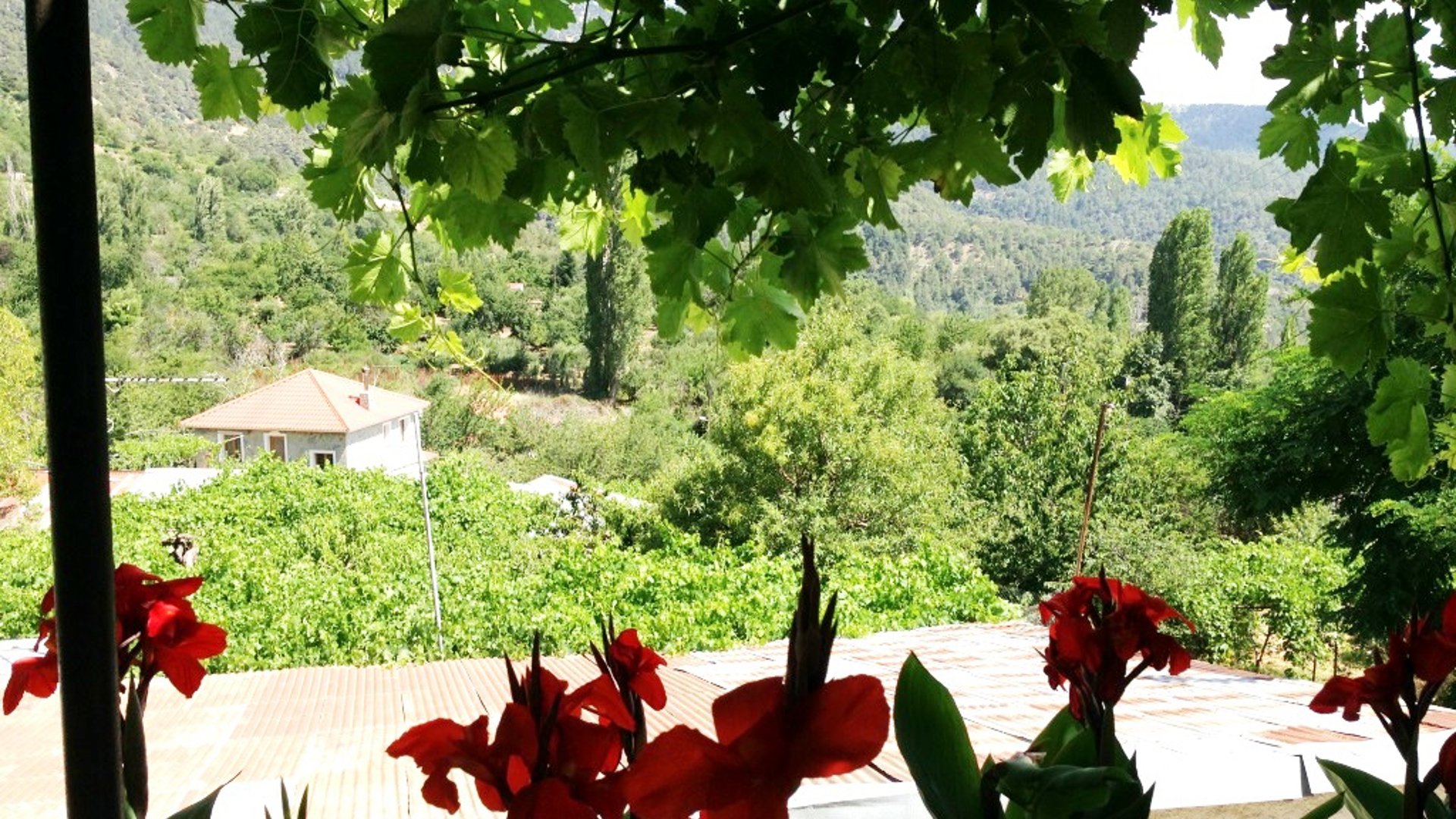 2 dormitorios Bungalow en Prodromos, Nicosia, Chipre No. 25596
