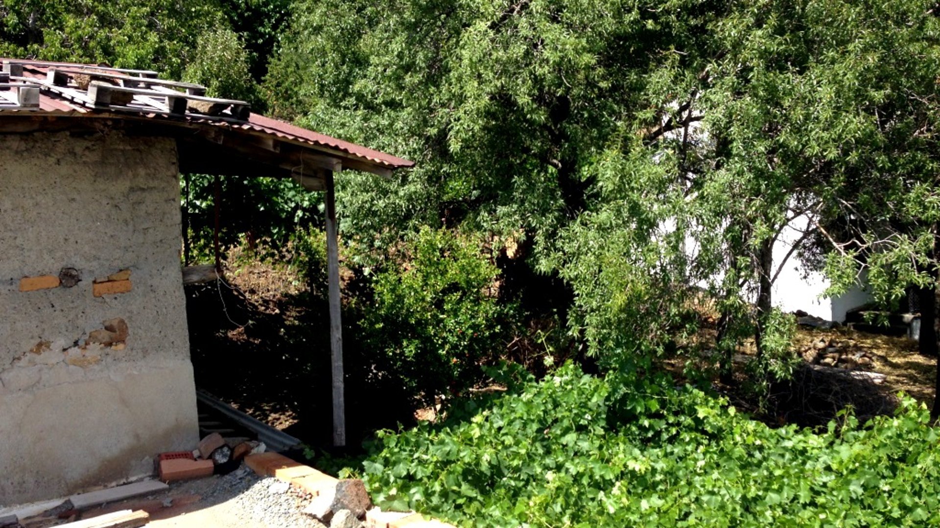 2 dormitorios Bungalow en Prodromos, Nicosia, Chipre No. 25596