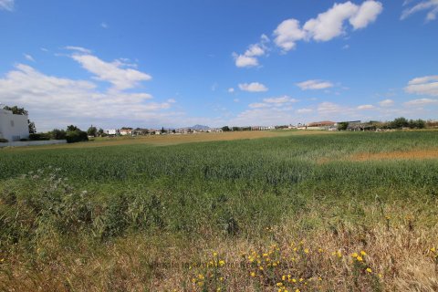 Земельный участок в Кити, Ларнака, Кипр № 37173 4